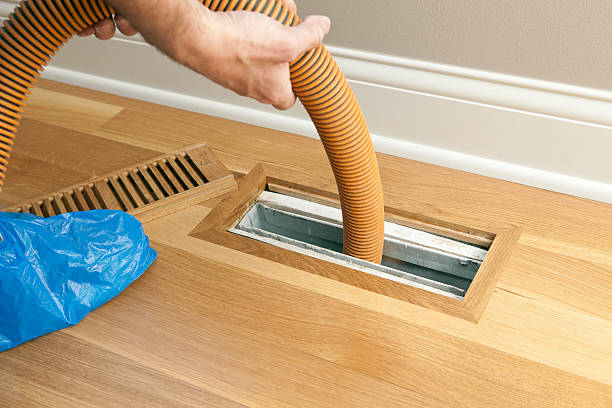 Best Home Air Vent Cleaning  in Newberry, MI